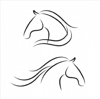 马 白马 手绘 矢量 动物 骑