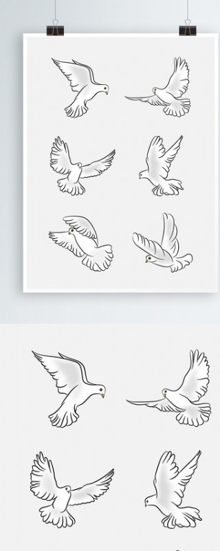 和平鸽图片手绘简化图片