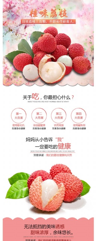 妃子笑荔枝图片