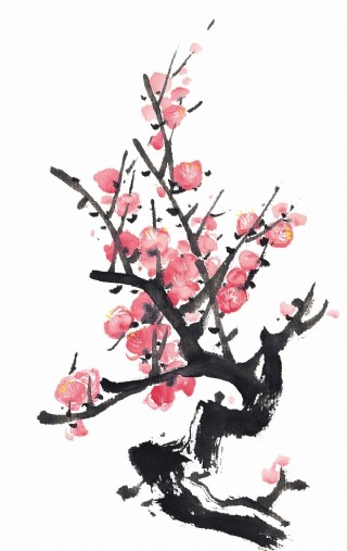 国画梅花图片